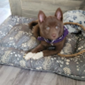 Meet your Posher, Matthew